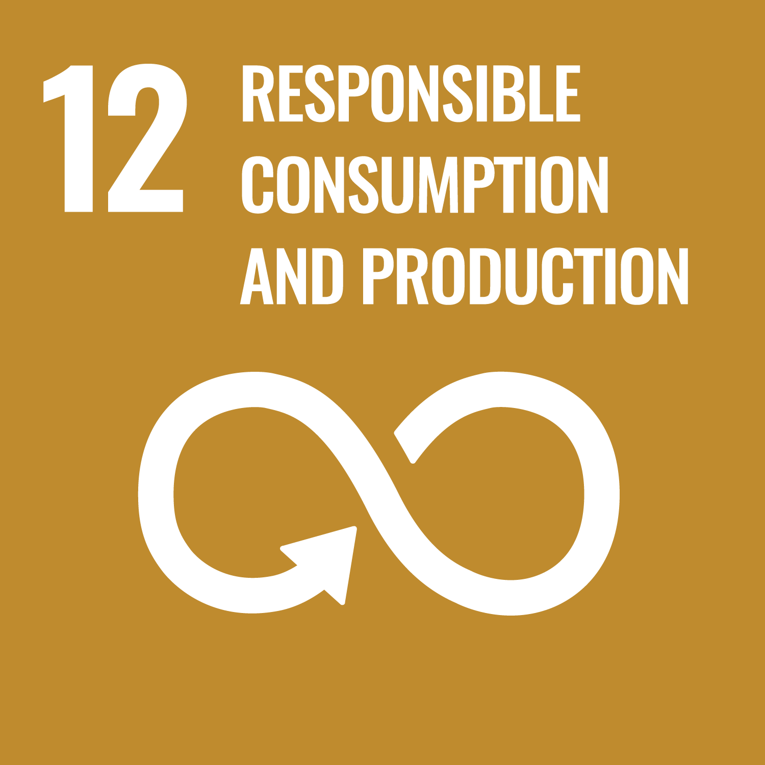 SDG 12 - Responsible Consumption and Production